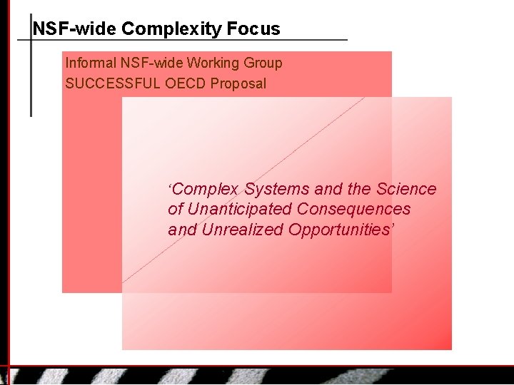 NSF-wide Complexity Focus Informal NSF-wide Working Group SUCCESSFUL OECD Proposal ‘Complex Systems and the