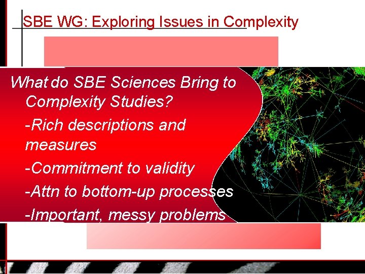 SBE WG: Exploring Issues in Complexity What do SBE Sciences Bring to Complexity Studies?