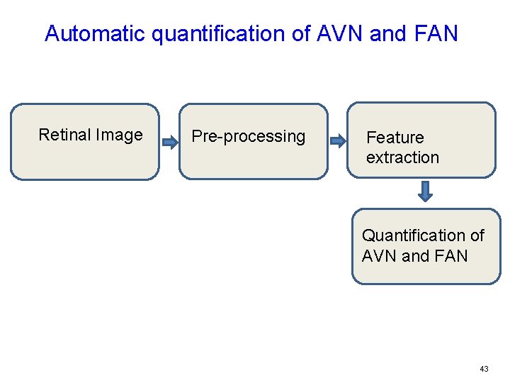 Automatic quantification of AVN and FAN Retinal Image Pre-processing Feature extraction Quantification of AVN