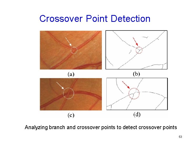 Crossover Point Detection Analyzing branch and crossover points to detect crossover points 53 