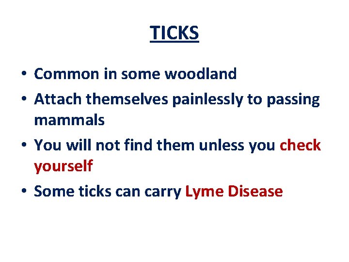 TICKS • Common in some woodland • Attach themselves painlessly to passing mammals •
