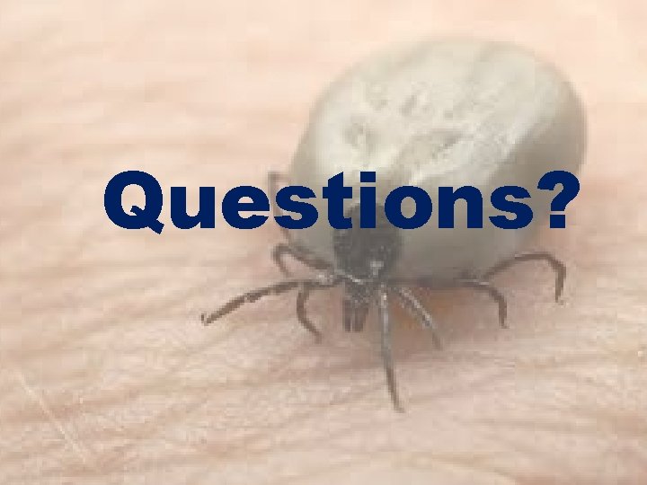 Questions? 