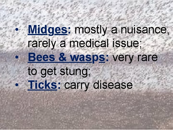  • Midges: mostly a nuisance, rarely a medical issue; • Bees & wasps: