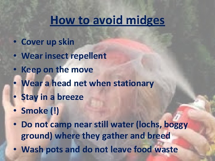 How to avoid midges Cover up skin Wear insect repellent Keep on the move