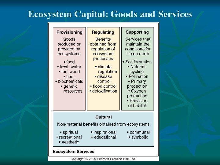 Ecosystem Capital: Goods and Services 
