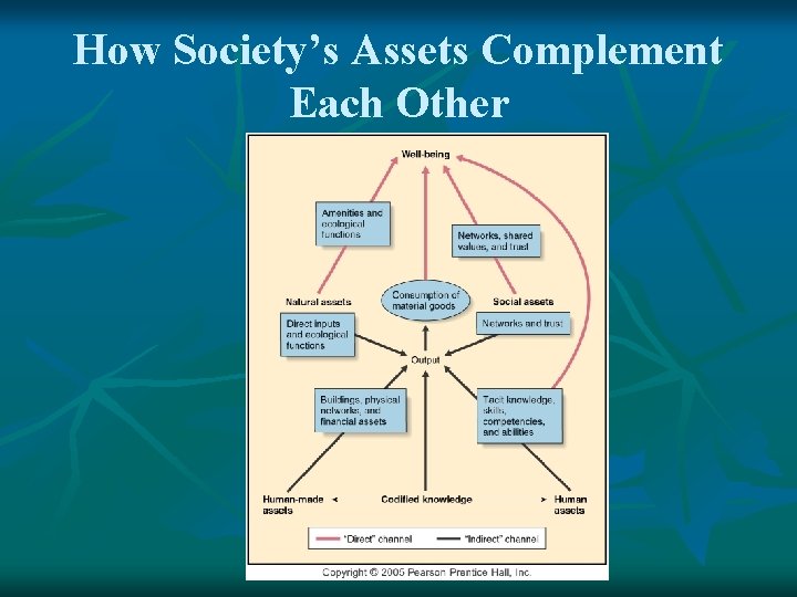 How Society’s Assets Complement Each Other 