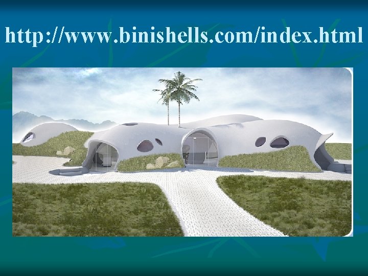 http: //www. binishells. com/index. html 