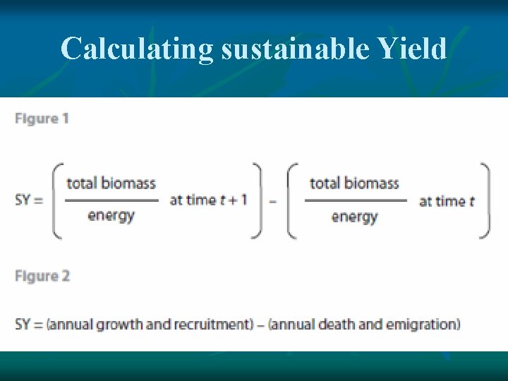 Calculating sustainable Yield 
