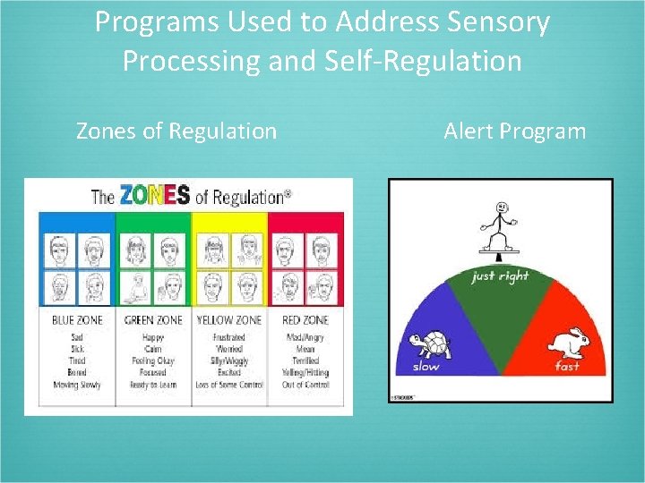 Programs Used to Address Sensory Processing and Self-Regulation Zones of Regulation Alert Program 