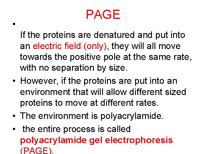  • PAGE If the proteins are denatured and put into an electric field