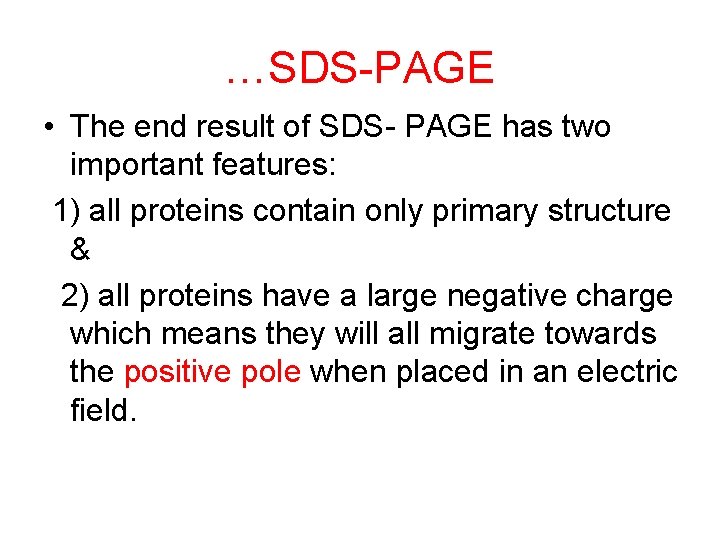 …SDS-PAGE • The end result of SDS- PAGE has two important features: 1) all