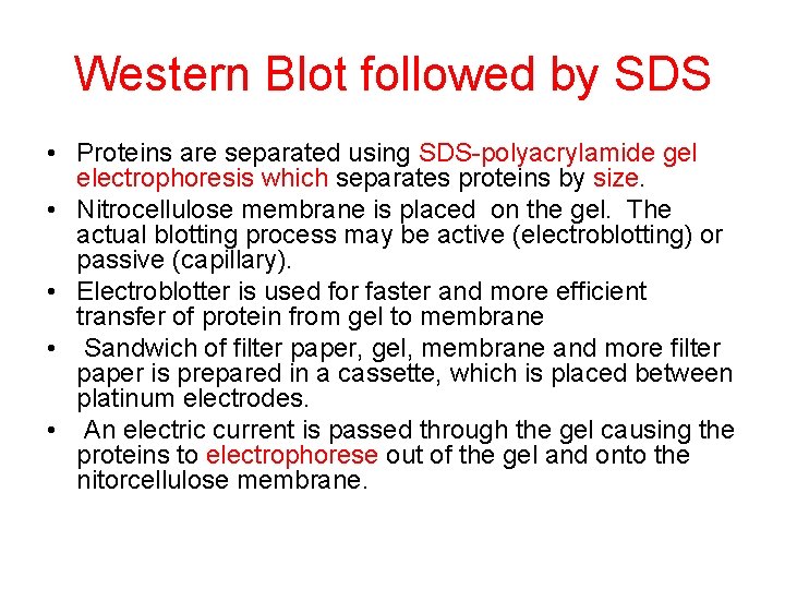 Western Blot followed by SDS • Proteins are separated using SDS-polyacrylamide gel electrophoresis which