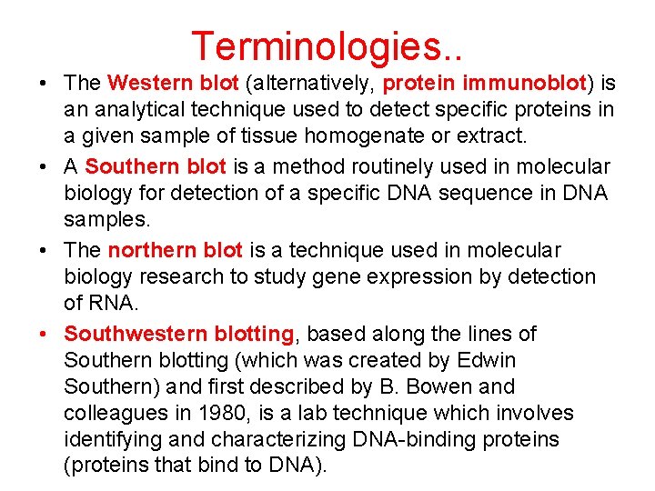 Terminologies. . • The Western blot (alternatively, protein immunoblot) is an analytical technique used