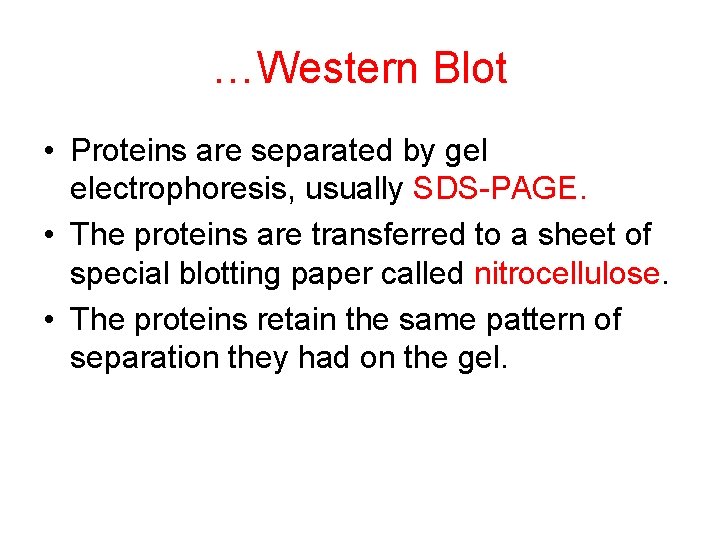 …Western Blot • Proteins are separated by gel electrophoresis, usually SDS-PAGE. • The proteins