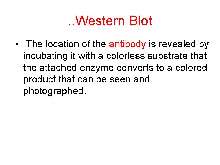 . . Western Blot • The location of the antibody is revealed by incubating