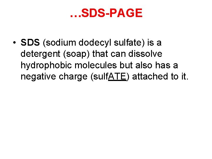 …SDS-PAGE • SDS (sodium dodecyl sulfate) is a detergent (soap) that can dissolve hydrophobic