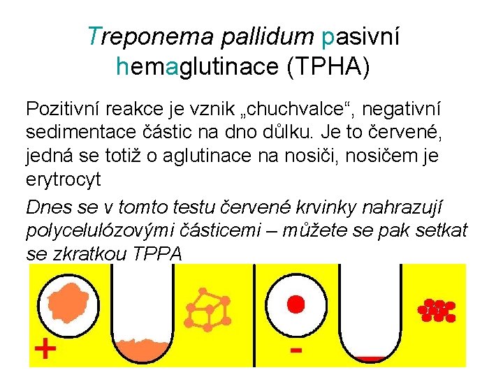 Treponema pallidum pasivní hemaglutinace (TPHA) Pozitivní reakce je vznik „chuchvalce“, negativní sedimentace částic na