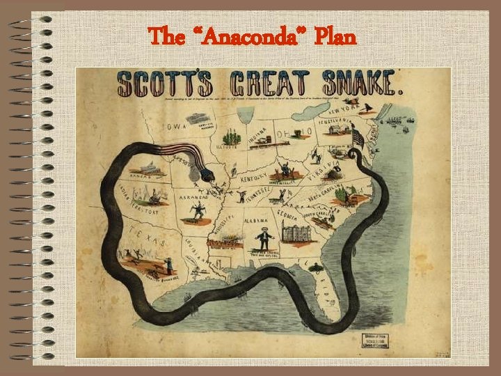 The “Anaconda” Plan 