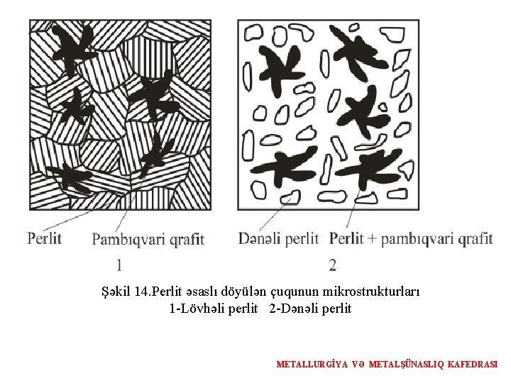 Şəkil 14. Perlit əsaslı döyülən çuqunun mikrostrukturları 1 -Lövhəli perlit 2 -Dənəli perlit METALLURGİYA