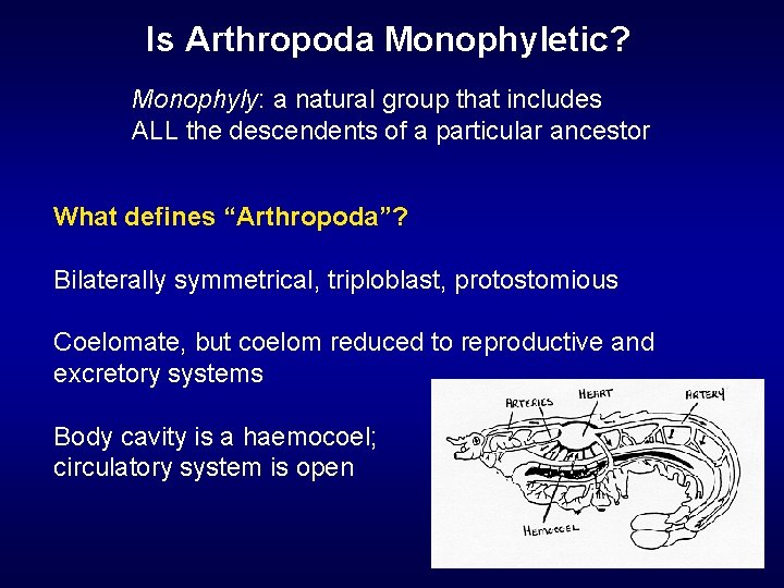 Is Arthropoda Monophyletic? Monophyly: a natural group that includes ALL the descendents of a