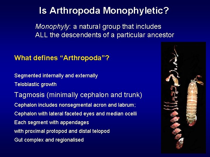 Is Arthropoda Monophyletic? Monophyly: a natural group that includes ALL the descendents of a