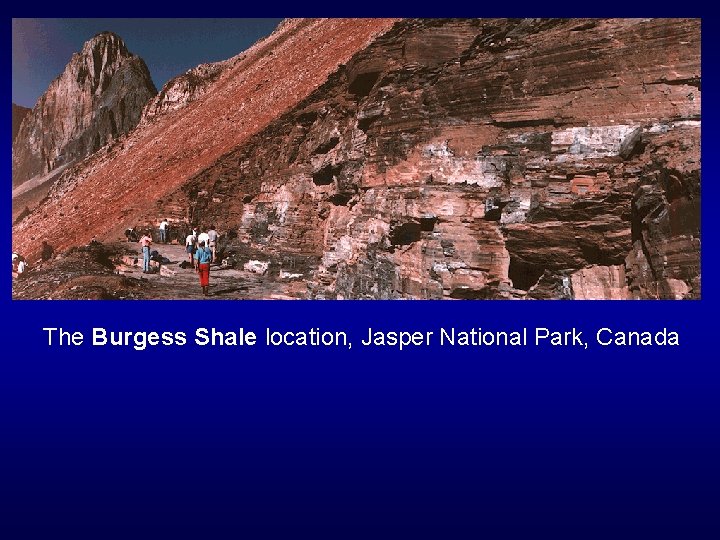 The Burgess Shale location, Jasper National Park, Canada 