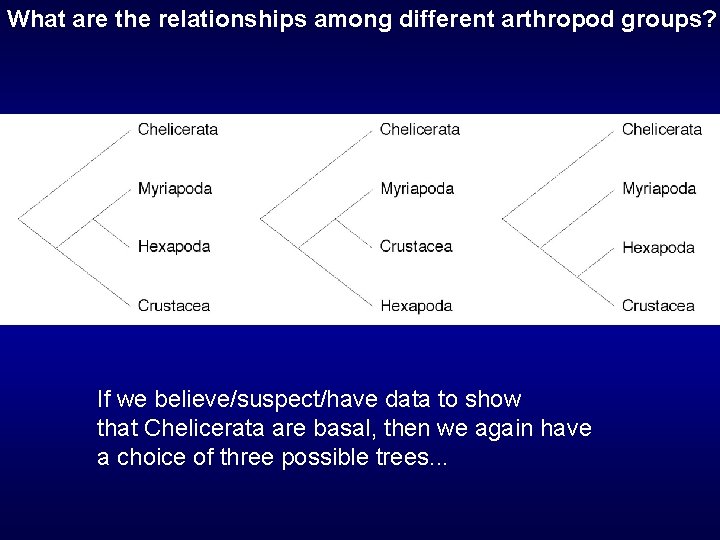 What are the relationships among different arthropod groups? If we believe/suspect/have data to show