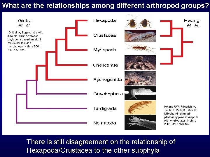 What are the relationships among different arthropod groups? Giribet G, Edgecombe GD, Wheeler WC:
