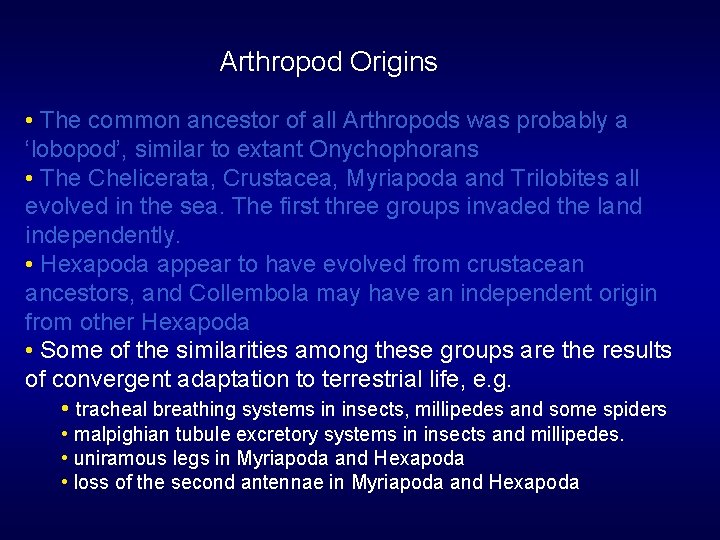 Arthropod Origins • The common ancestor of all Arthropods was probably a ‘lobopod’, similar