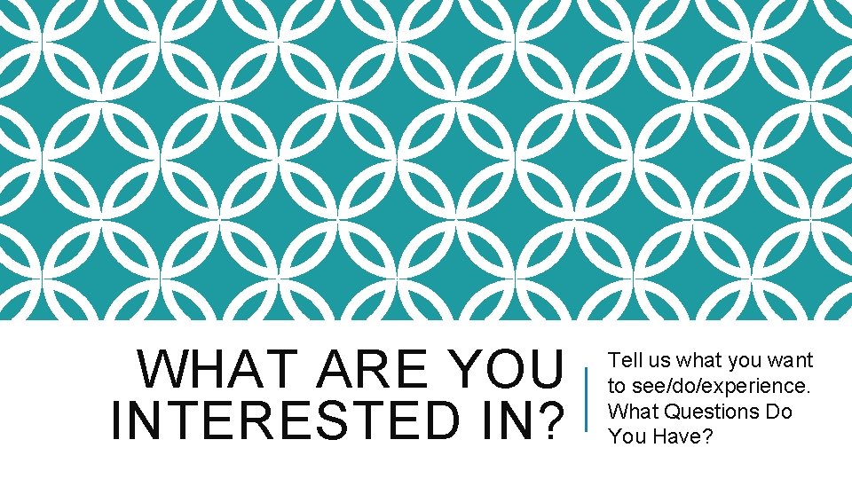 WHAT ARE YOU INTERESTED IN? Tell us what you want to see/do/experience. What Questions