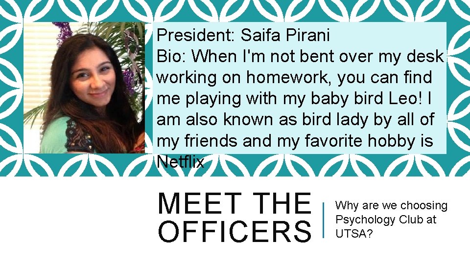 President: Saifa Pirani Bio: When I'm not bent over my desk working on homework,