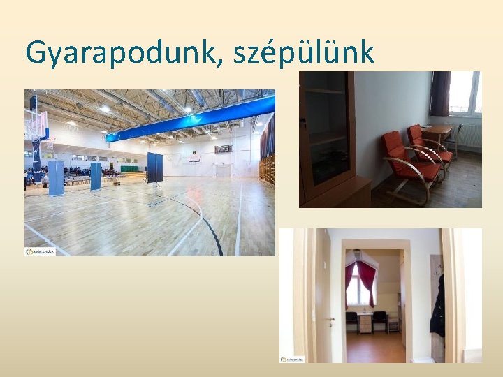 Gyarapodunk, szépülünk 