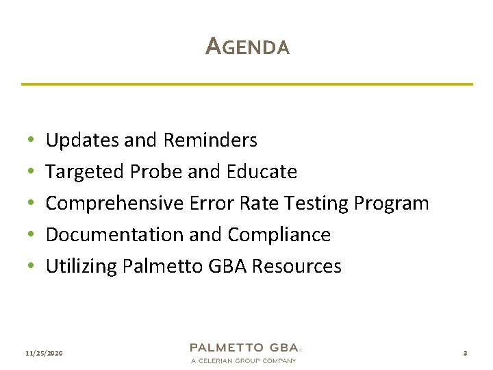 AGENDA • • • Updates and Reminders Targeted Probe and Educate Comprehensive Error Rate