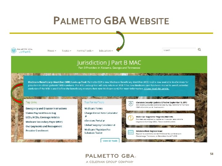 PALMETTO GBA WEBSITE 54 