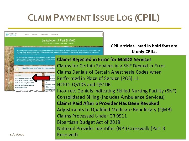 CLAIM PAYMENT ISSUE LOG (CPIL) CPIL articles listed in bold font are JJ only