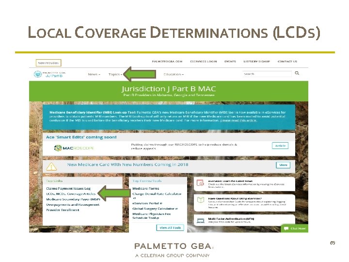 LOCAL COVERAGE DETERMINATIONS (LCDS) 69 