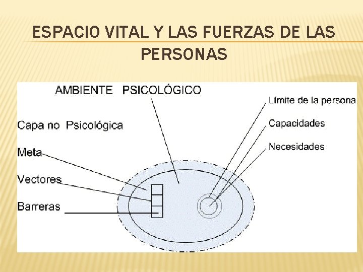 ESPACIO VITAL Y LAS FUERZAS DE LAS PERSONAS 