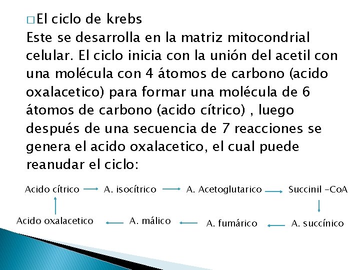 � El ciclo de krebs Este se desarrolla en la matriz mitocondrial celular. El