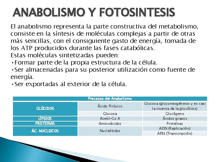 ANABOLISMO Y FOTOSINTESIS El anabolismo representa la parte constructiva del metabolismo, consiste en la