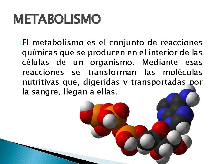 METABOLISMO � El metabolismo es el conjunto de reacciones químicas que se producen en