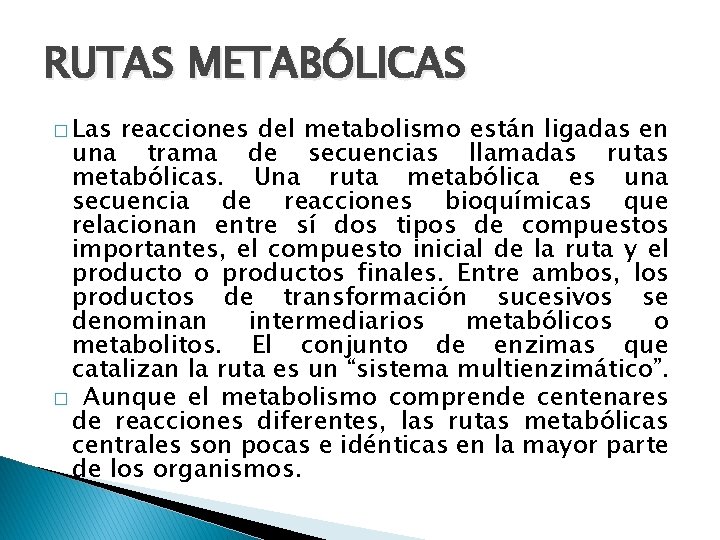 RUTAS METABÓLICAS � Las reacciones del metabolismo están ligadas en una trama de secuencias