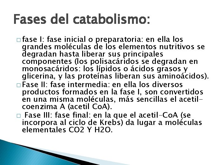 Fases del catabolismo: � fase I: fase inicial o preparatoria: en ella los grandes