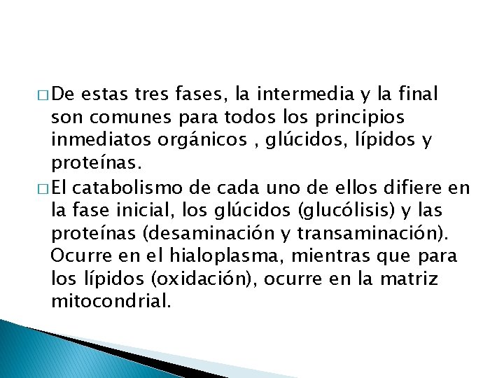 � De estas tres fases, la intermedia y la final son comunes para todos
