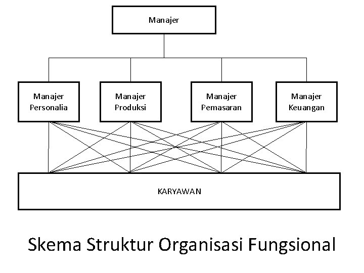 Manajer Personalia Manajer Produksi Manajer Pemasaran Manajer Keuangan KARYAWAN Skema Struktur Organisasi Fungsional 