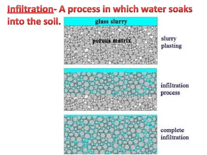 Infiltration- A process in which water soaks into the soil. 