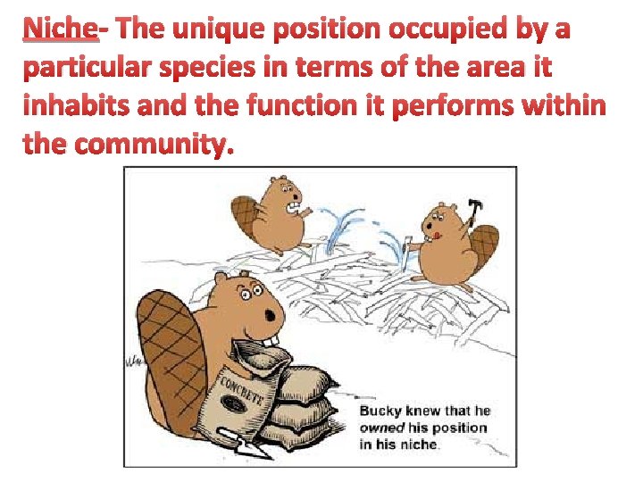 Niche- The unique position occupied by a particular species in terms of the area