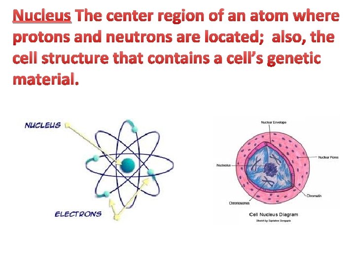 Nucleus The center region of an atom where protons and neutrons are located; also,