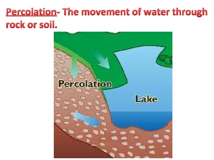 Percolation- The movement of water through rock or soil. 