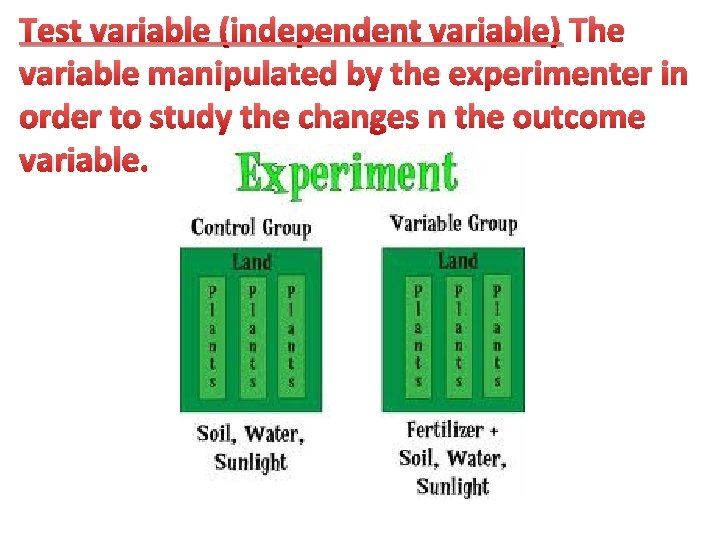 Test variable (independent variable) The variable manipulated by the experimenter in order to study