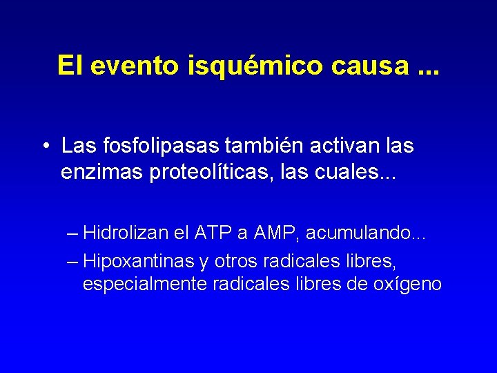 El evento isquémico causa. . . • Las fosfolipasas también activan las enzimas proteolíticas,